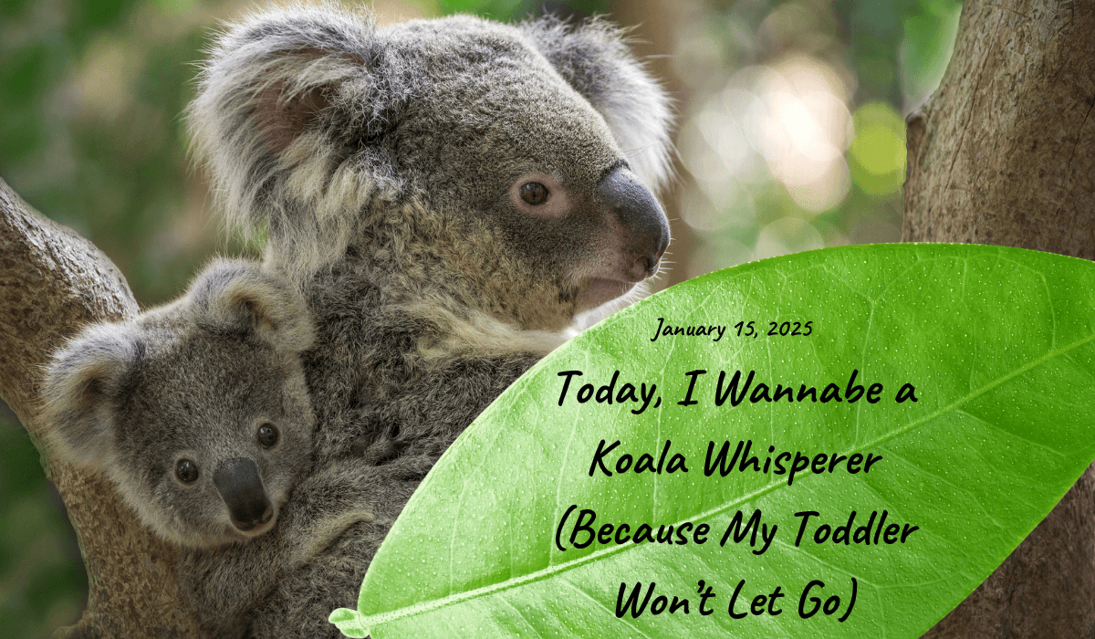 January 15, 2025: Today, I Wannabe a Koala Whisperer (Because My Toddler Won’t Let Go)