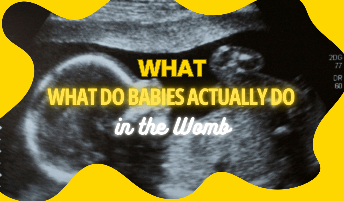 What Do Babies Actually Do in the Womb?