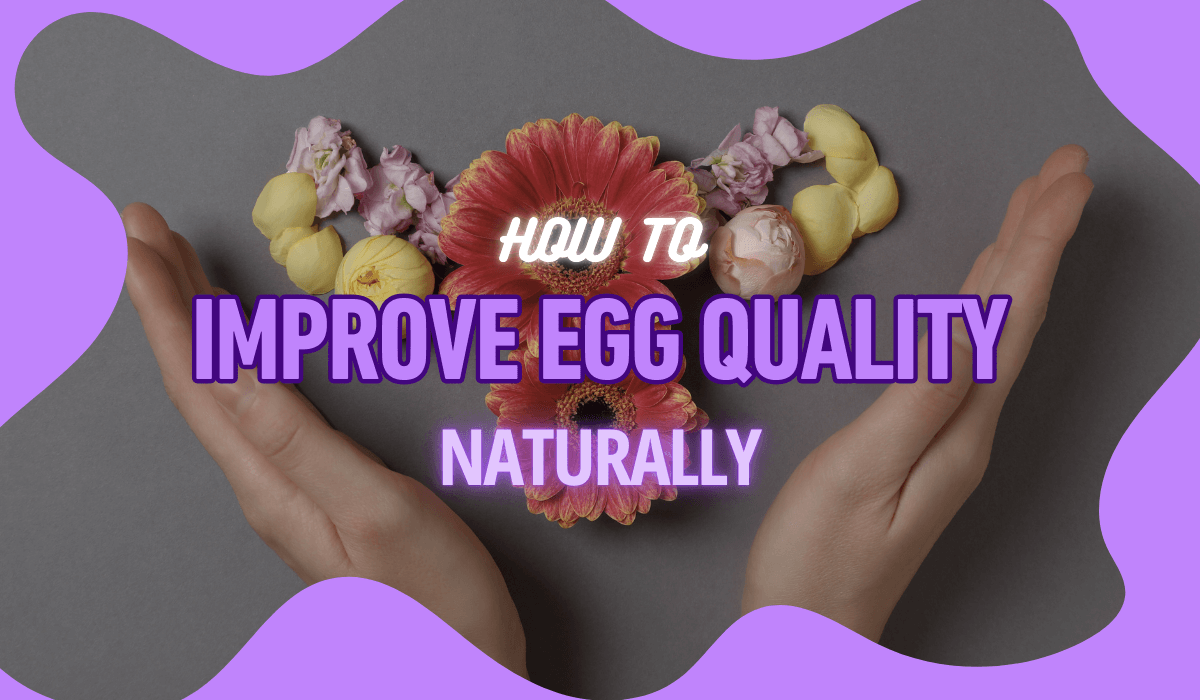 How to Improve Egg Quality Naturally