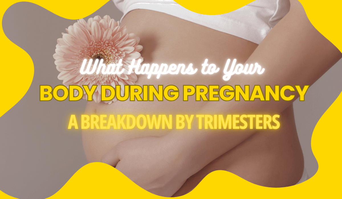 What Happens to Your Body During Pregnancy: A Breakdown by Trimesters