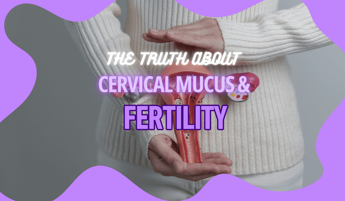 The Truth About Cervical Mucus & Fertility
